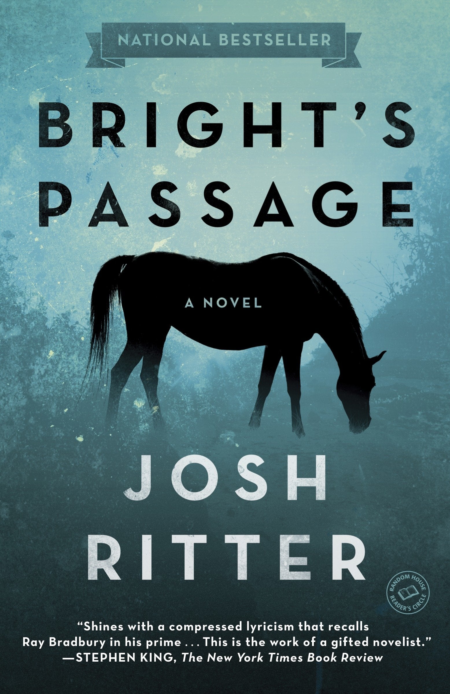 Bright's Passage - A Novel