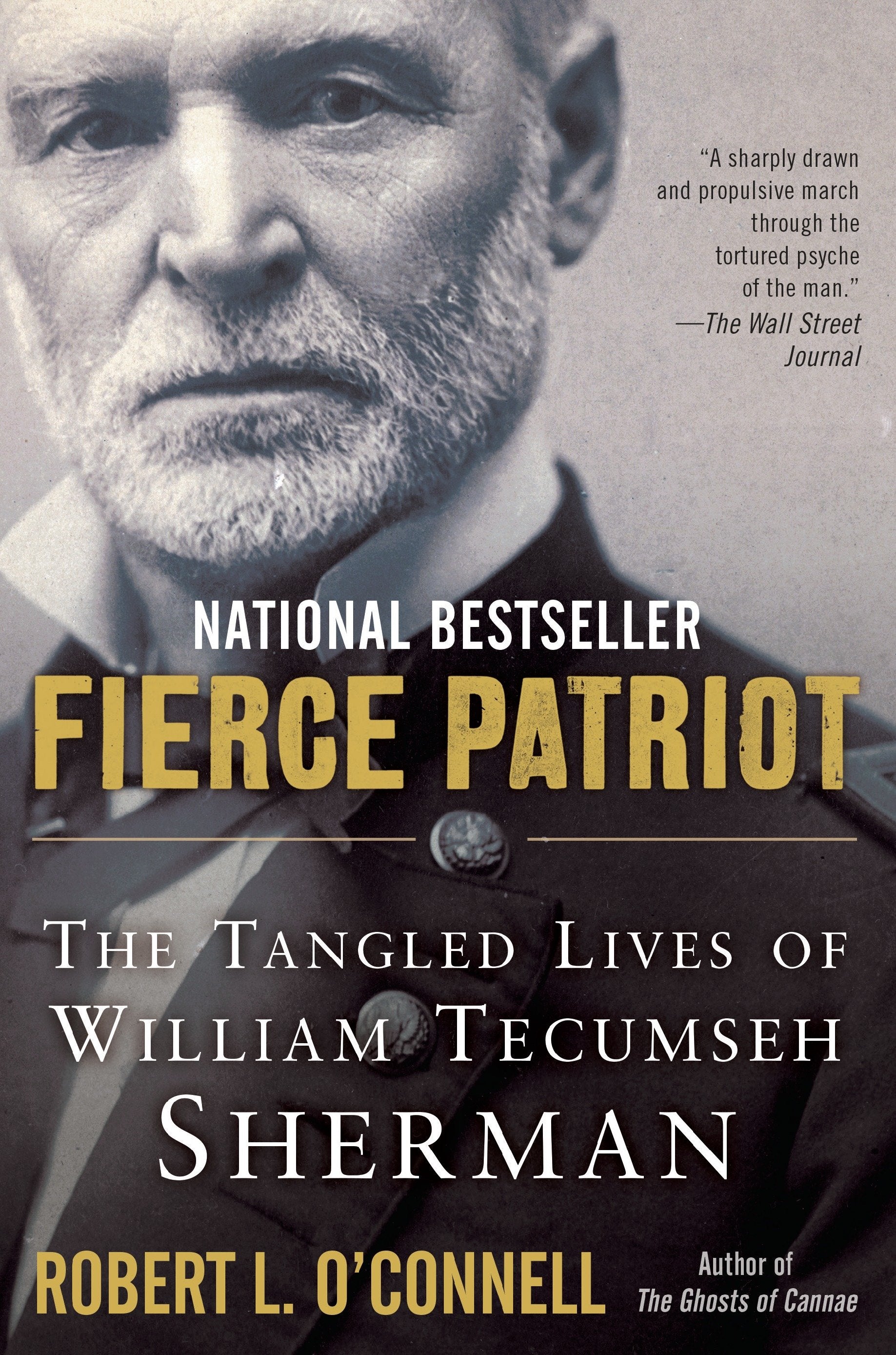Fierce Patriot - The Tangled Lives of William Tecumseh Sherman
