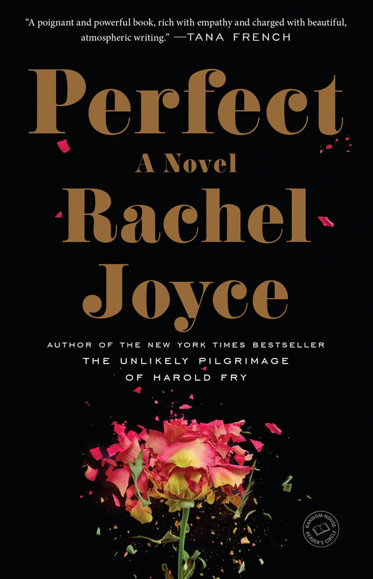 Perfect - A Novel