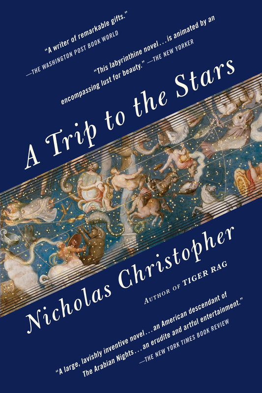 A Trip to the Stars - A Novel