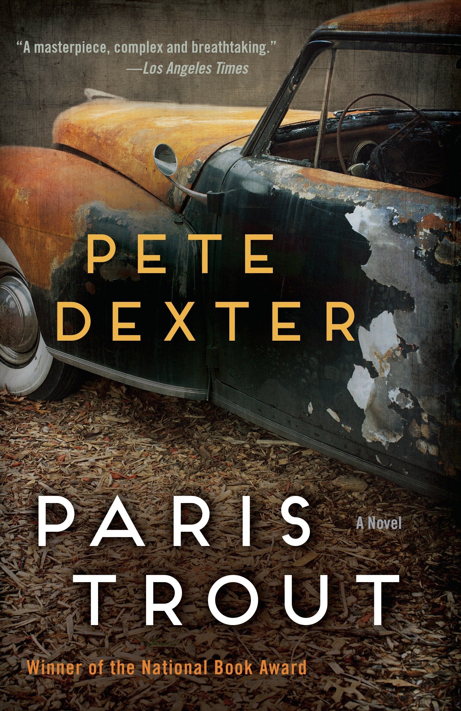 Paris Trout - A Novel