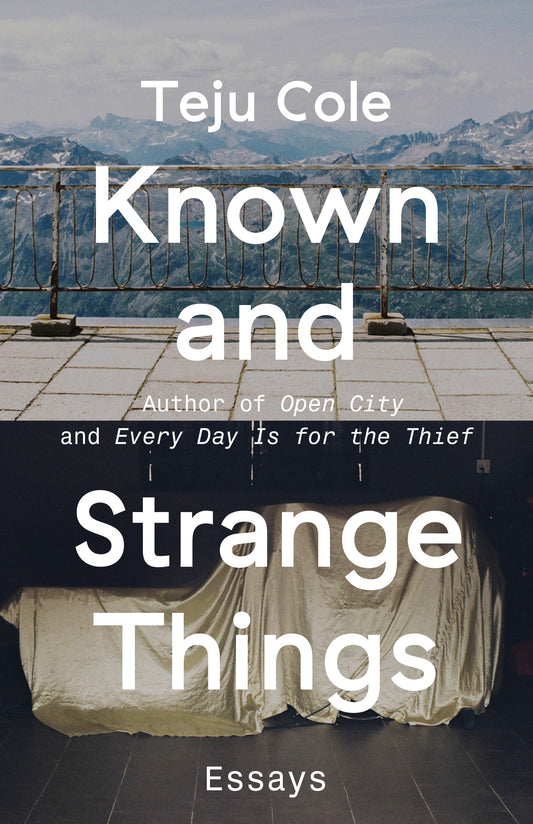 Known and Strange Things - Essays