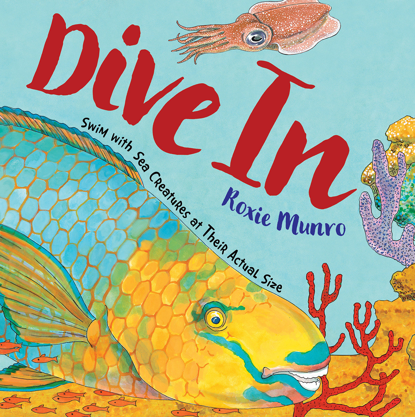 Dive In - Swim with Sea Creatures at Their Actual Size