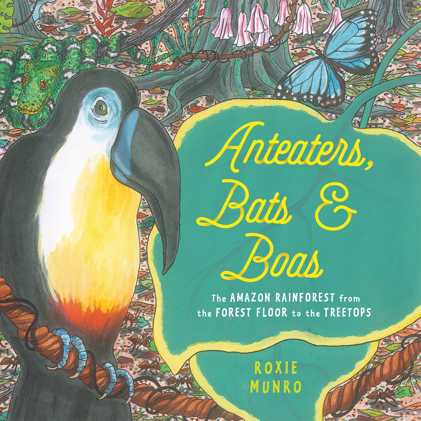 Anteaters, Bats & Boas - The Amazon Rainforest from the Forest Floor to the Treetops