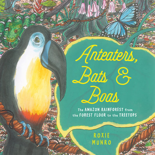 Anteaters, Bats & Boas - The Amazon Rainforest from the Forest Floor to the Treetops