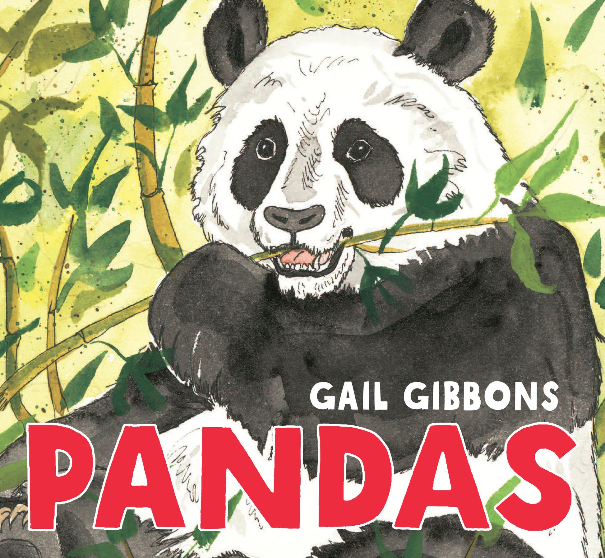 Pandas - An Engaging Introduction to Pandas and Their Lives Including Giant Pandas, Bamboo Forests, Conservation Efforts, and More