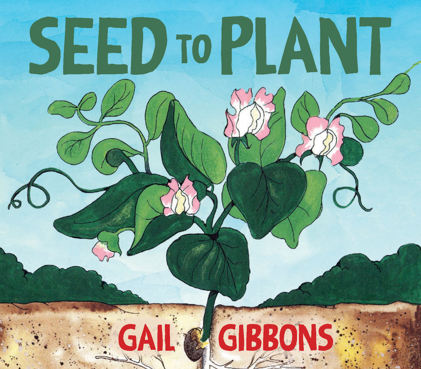 Seed to Plant - An Engaging Introduction to Seeds and Their Life Cycle Including Germination, Pollination, Plant Growth, and More