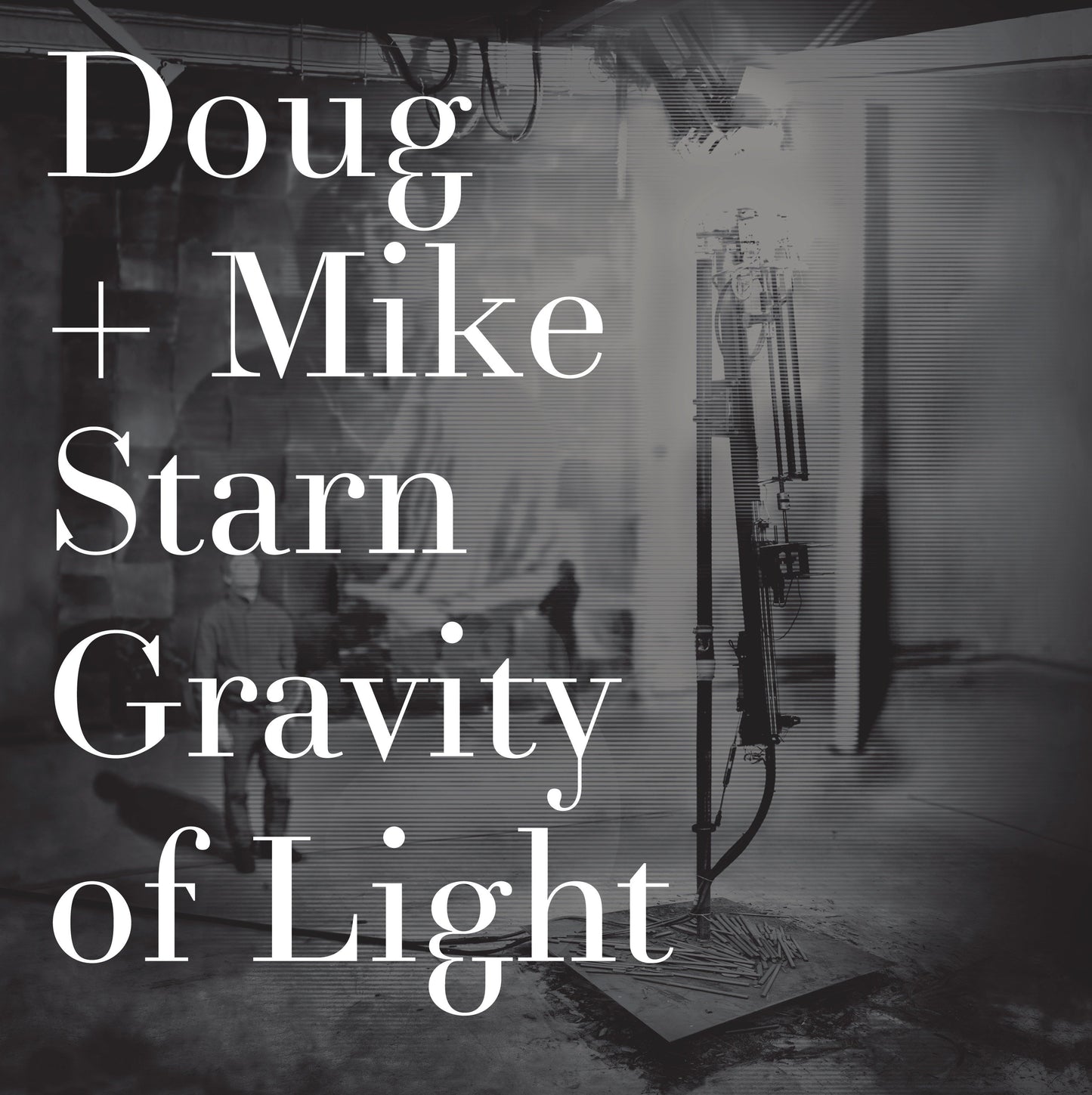 Doug and Mike Starn - Gravity of Light