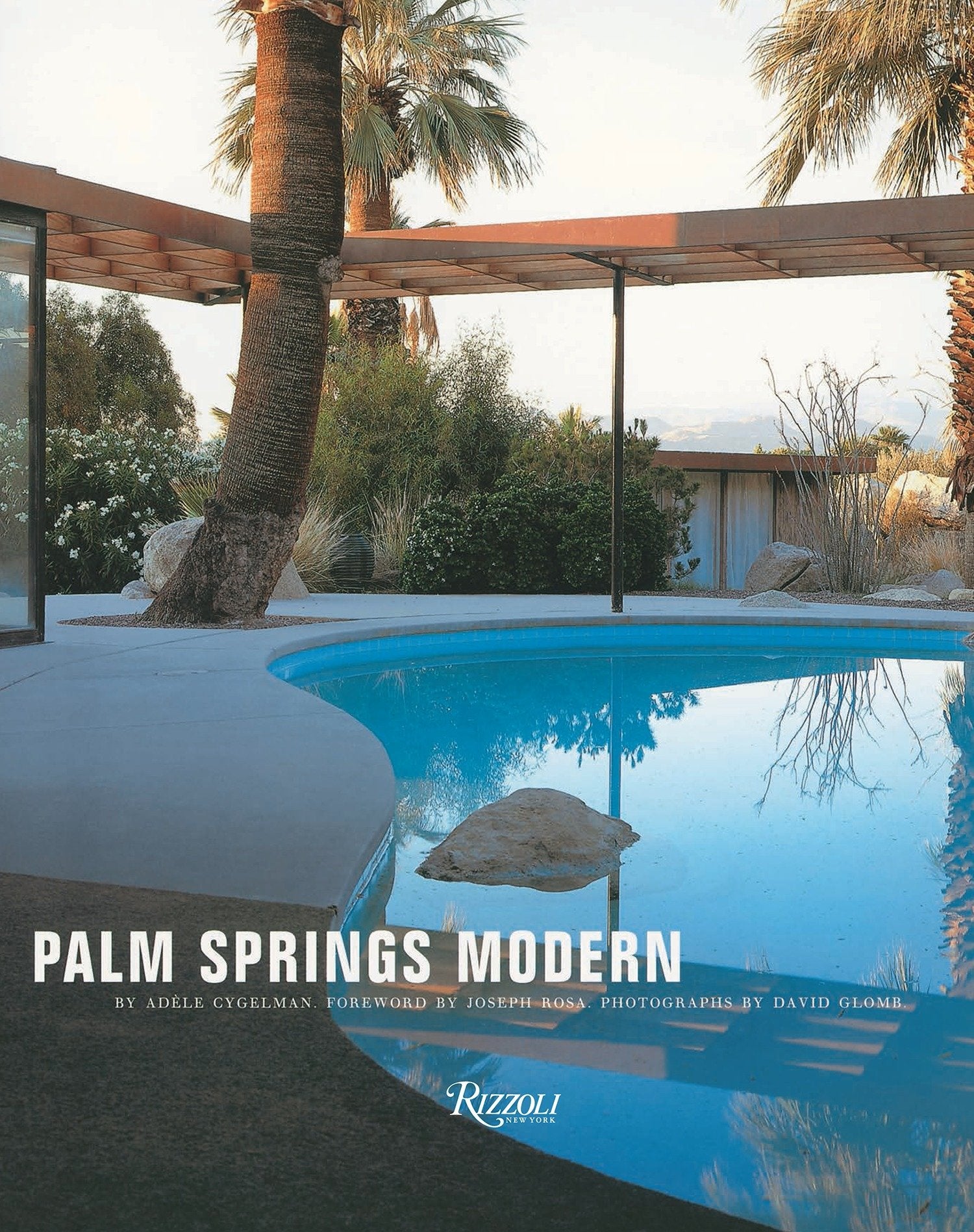 Palm Springs Modern - Houses in the California Desert (Rizzoli Classics)