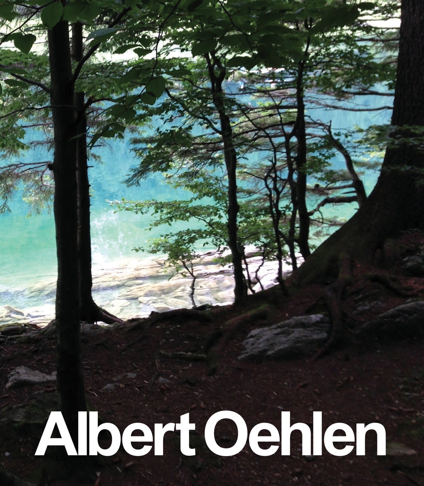 Albert Oehlen - New Paintings