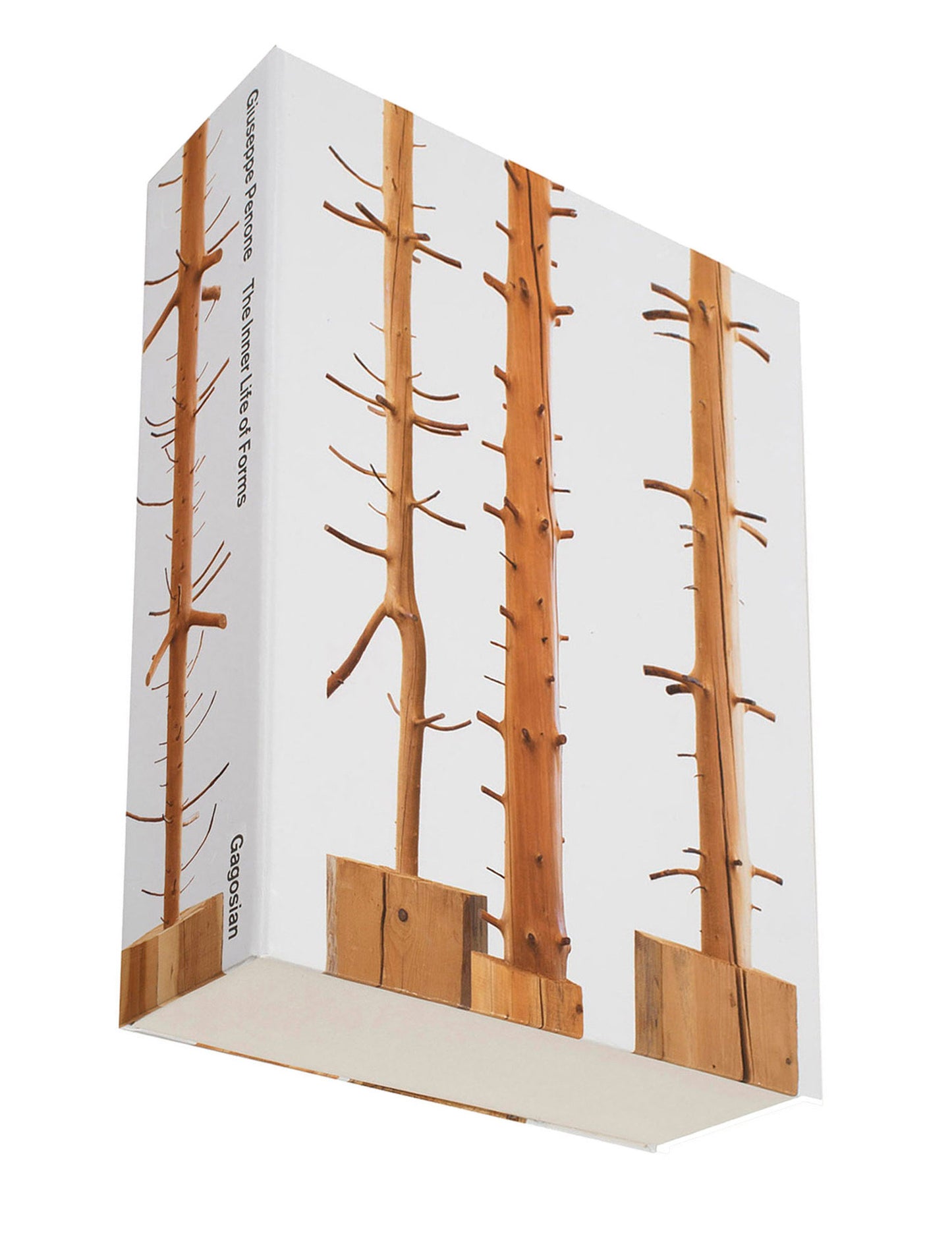 Giuseppe Penone - The Inner Life of Forms