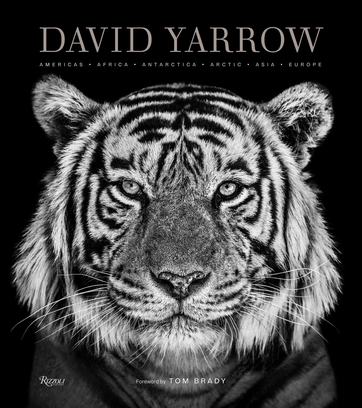 David Yarrow Photography - Americas Africa Antarctica Arctic Asia Europe