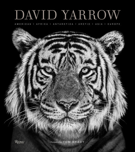 David Yarrow Photography - Americas Africa Antarctica Arctic Asia Europe