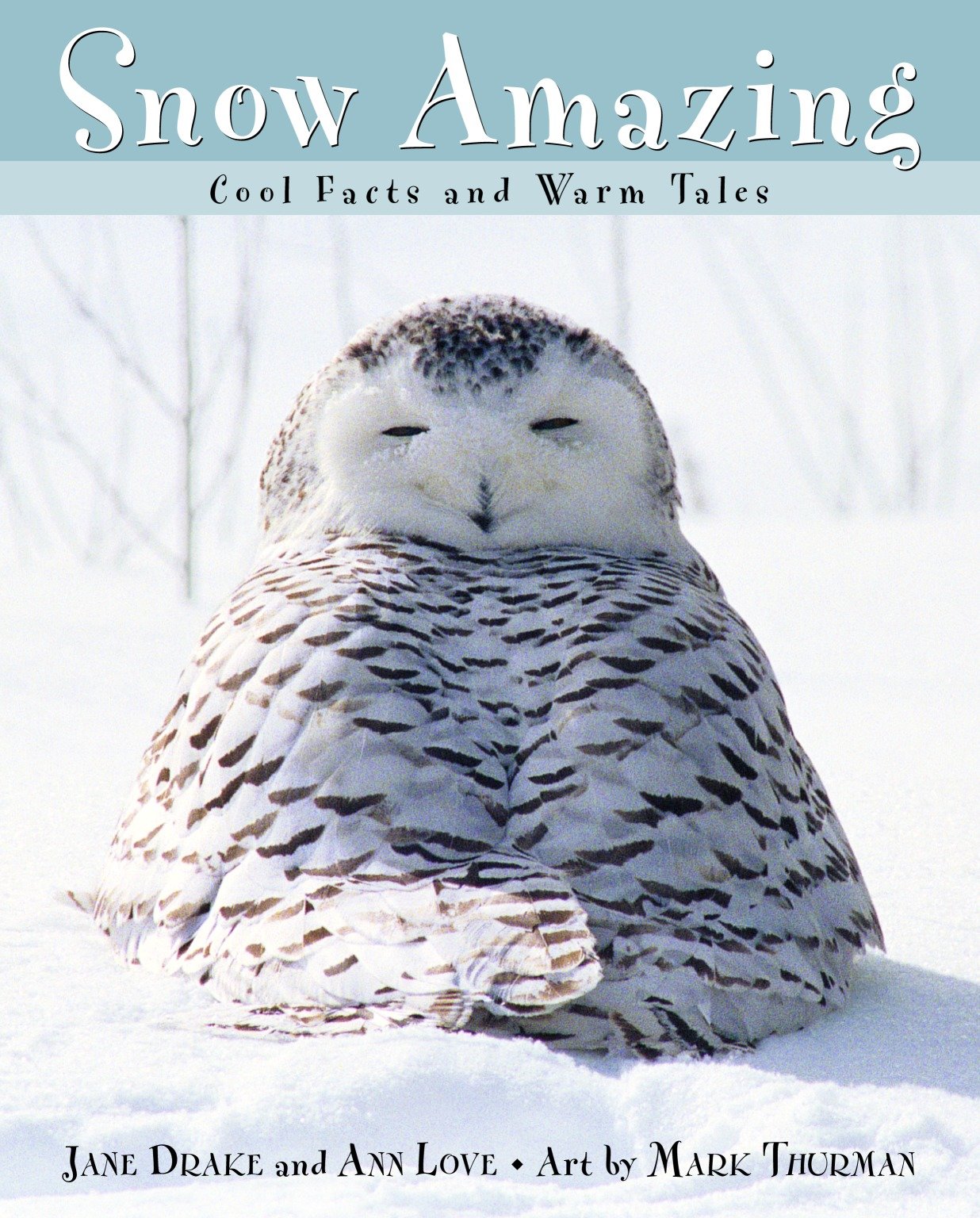 Snow Amazing - Cool Facts and Warm Tales