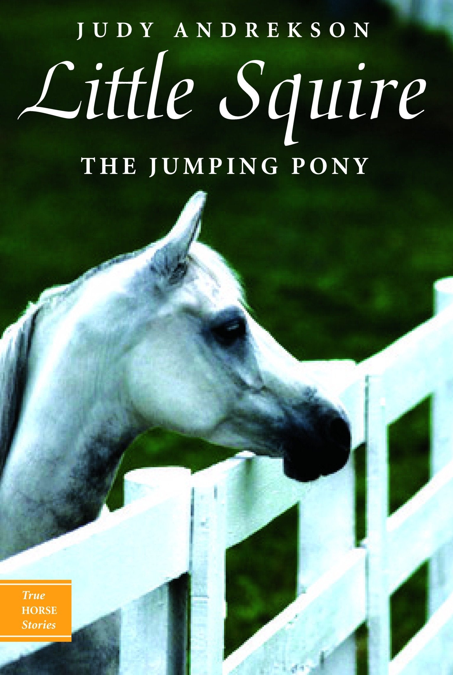Little Squire - The Jumping Pony (True Horse Stories) (Book:5)