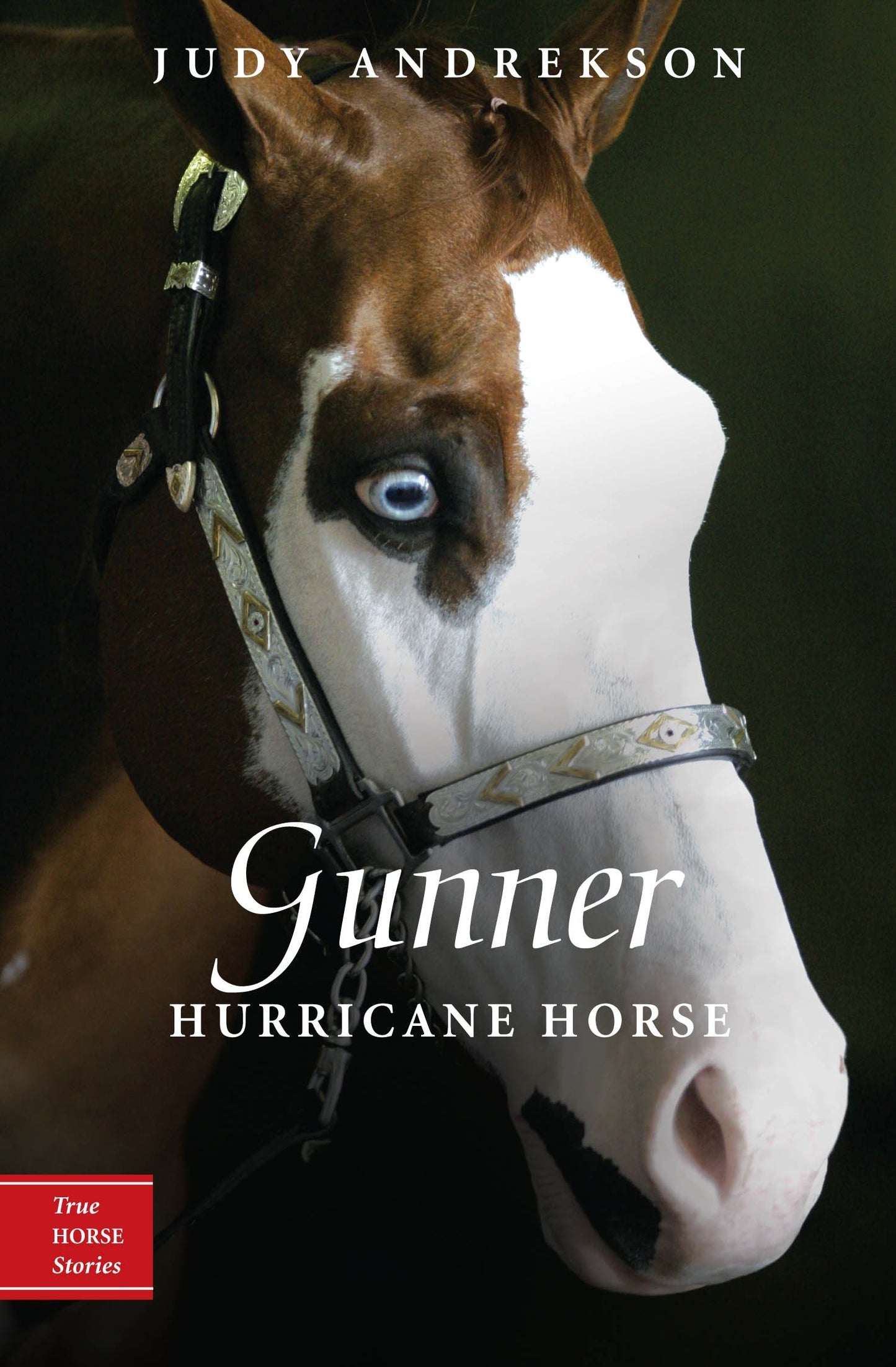 Gunner - Hurricane Horse (True Horse Stories) (Book:1)