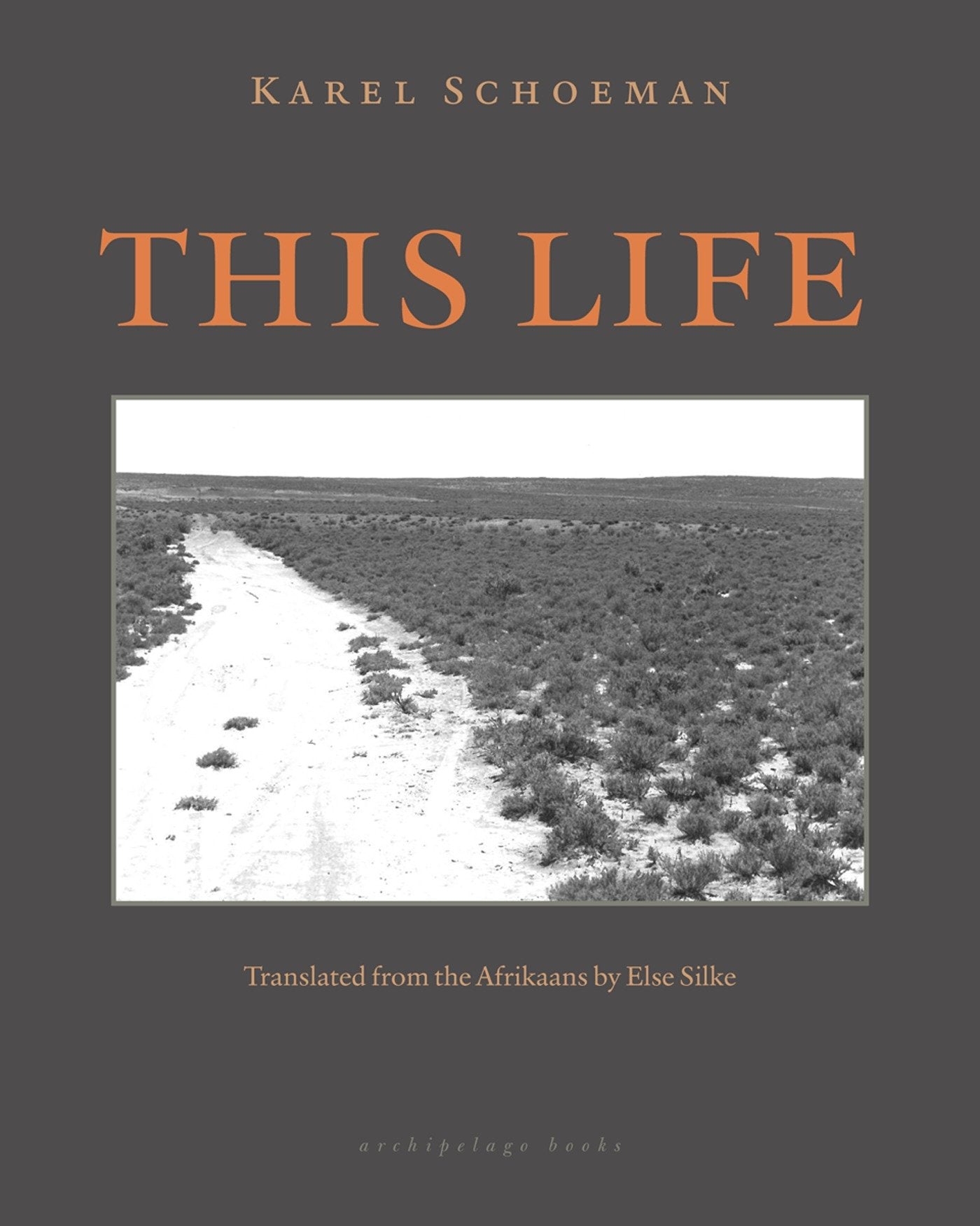 This Life - A Novel