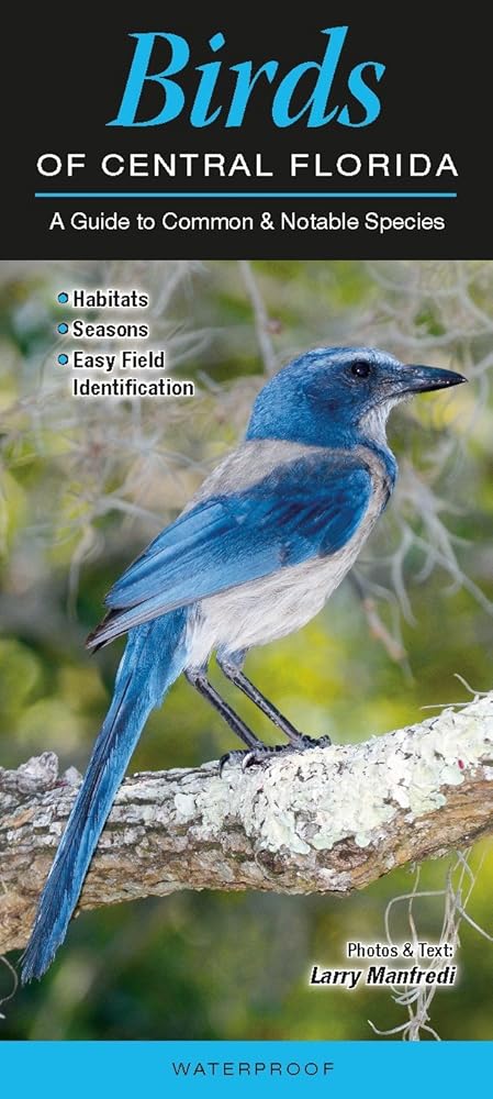 Birds of Central Florida: A Guide to Common & Notable Species (Quick Reference Guides) by Larry Manfredi