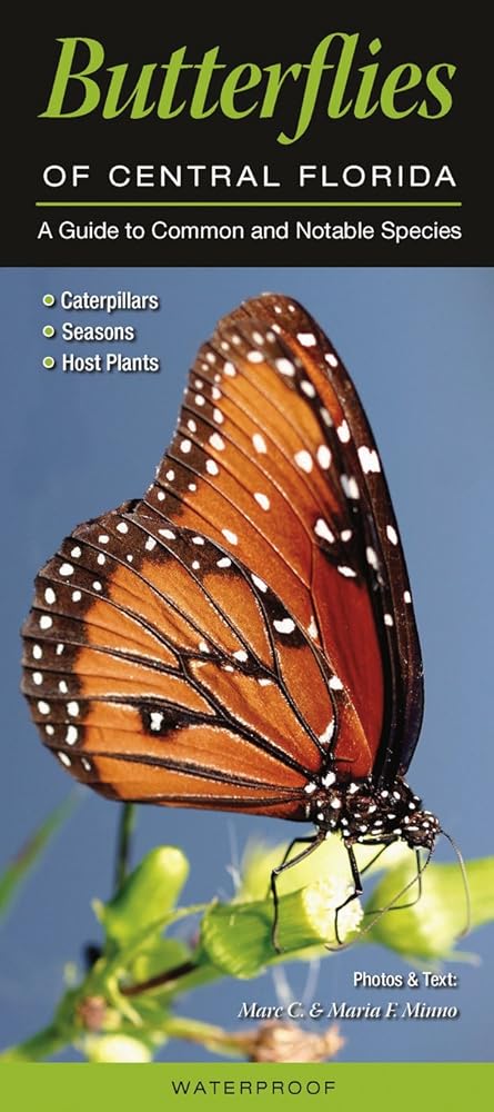 Butterflies of Central Florida: A Guide to Common & Notable Species by Marc Minno