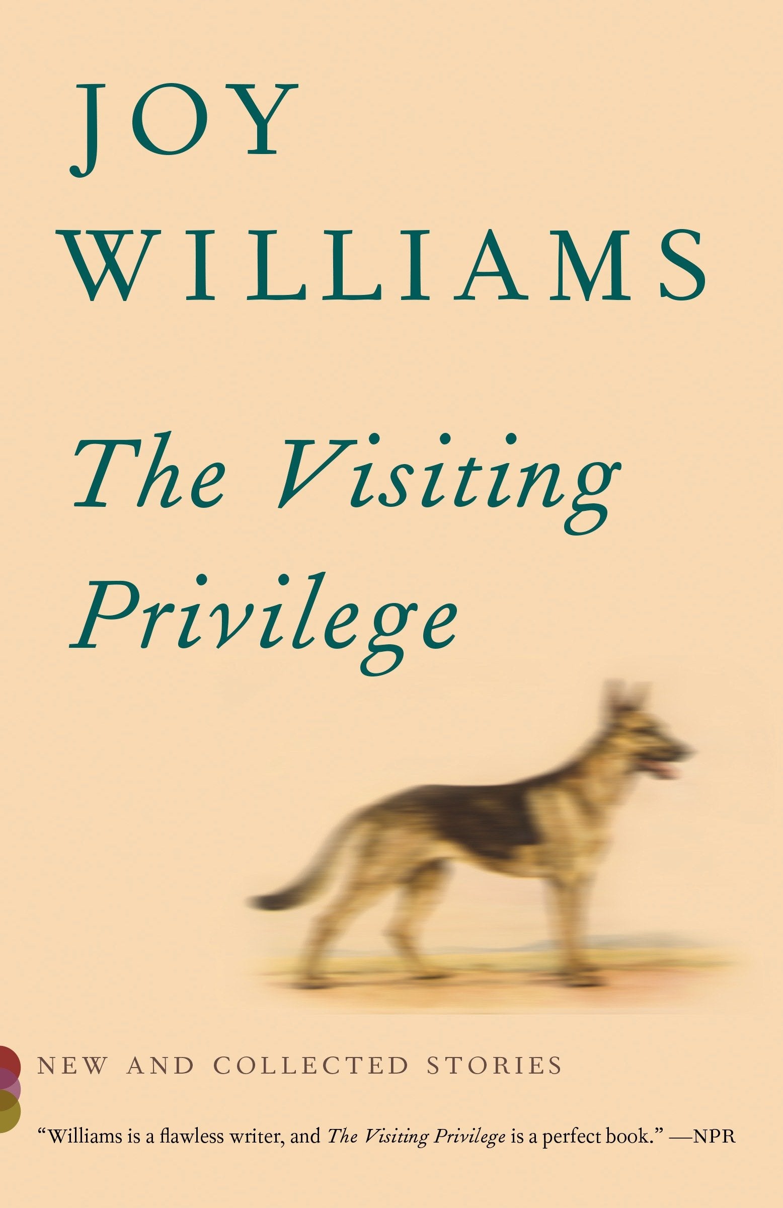 The Visiting Privilege - New and Collected Stories (Vintage Contemporaries)