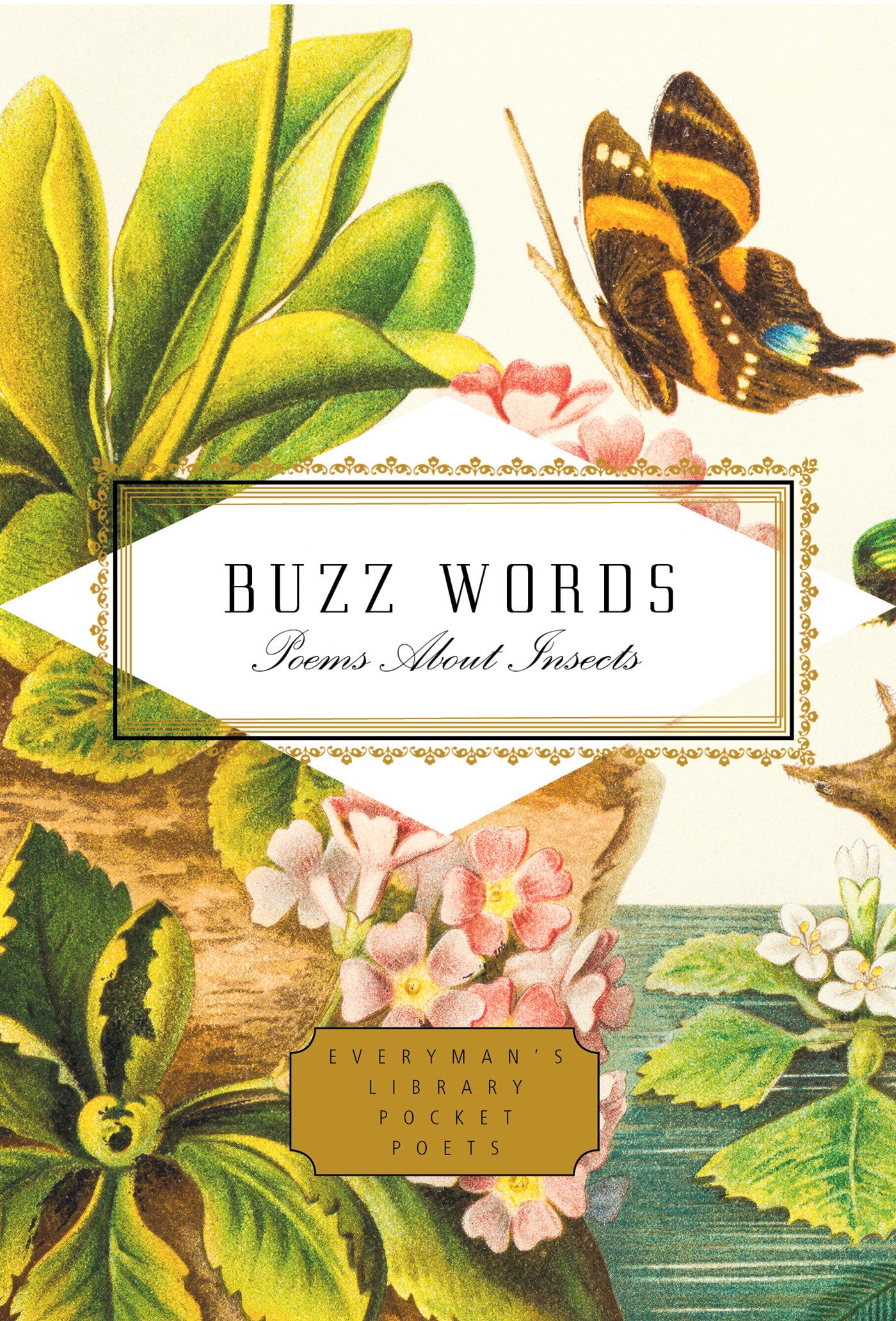 Buzz Words - Poems About Insects (Everyman's Library Pocket Poets Series)