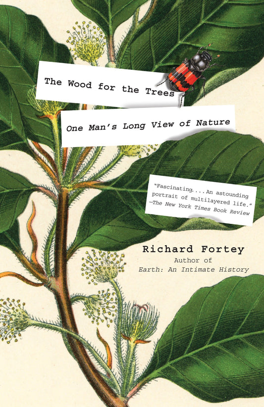 The Wood for the Trees - One Man's Long View of Nature