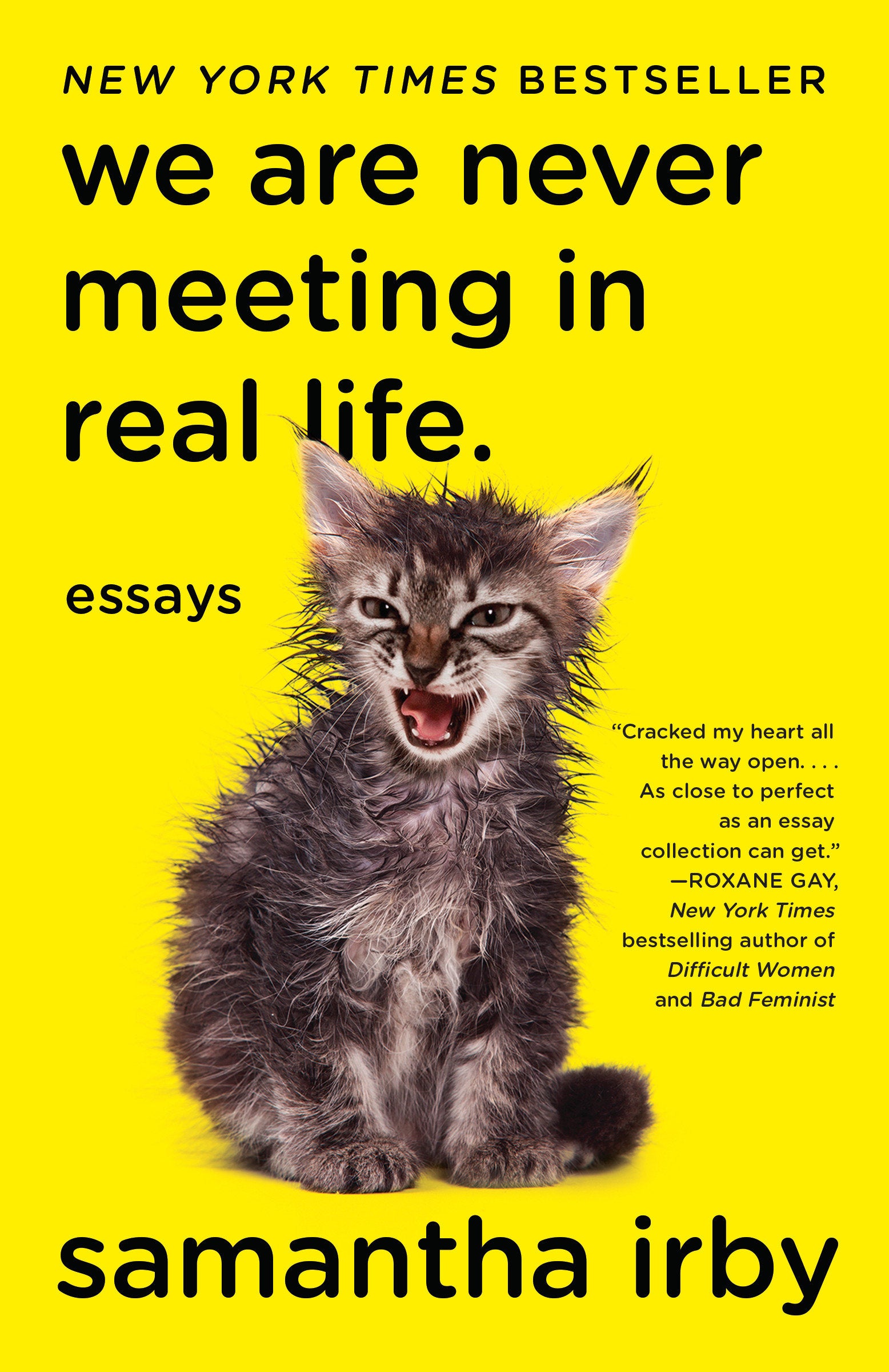 We Are Never Meeting in Real Life. - Essays