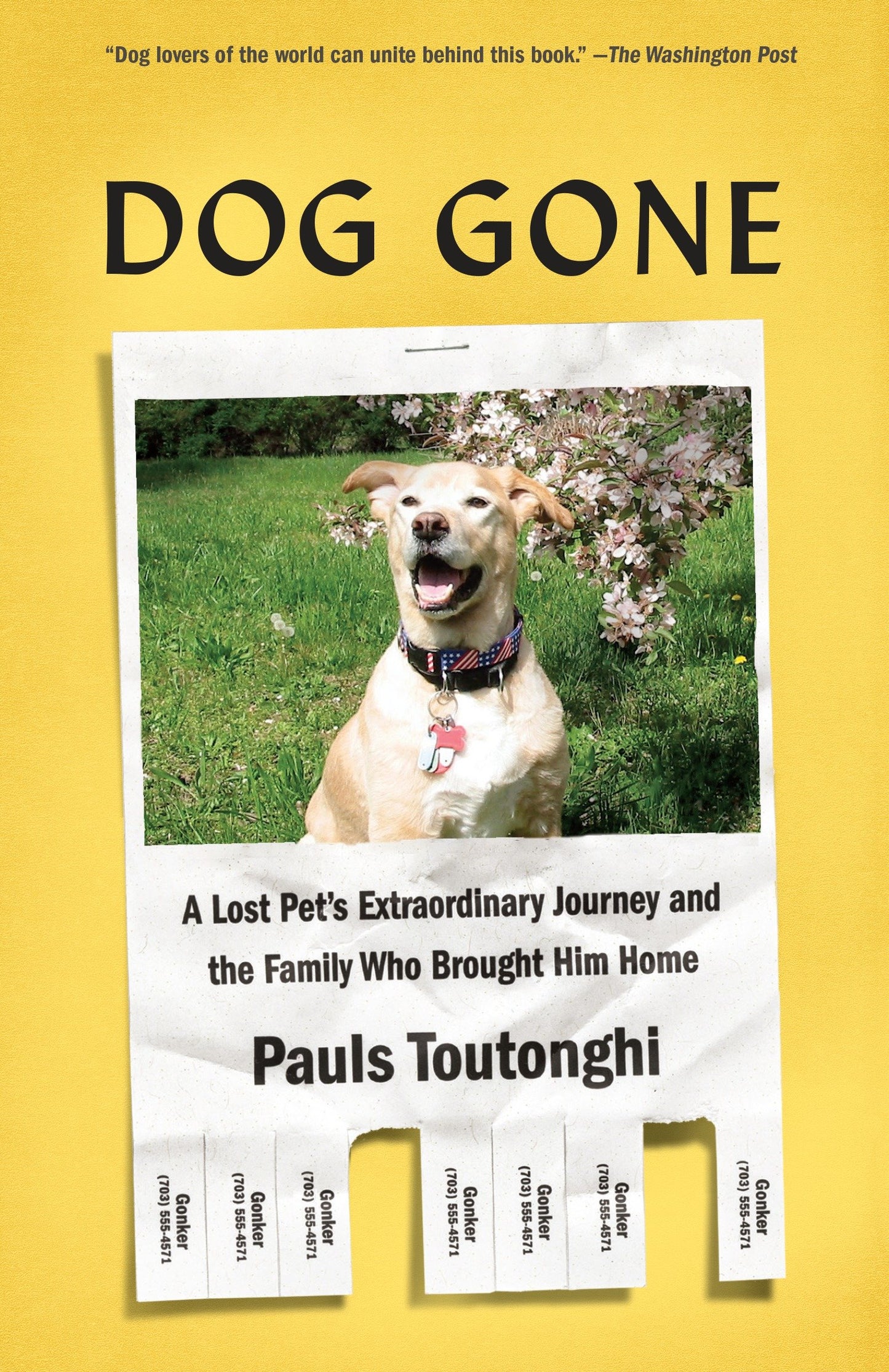 Dog Gone - A Lost Pet's Extraordinary Journey and the Family Who Brought Him Home