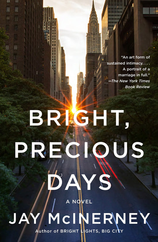 Bright, Precious Days - A Novel (Vintage Contemporaries)