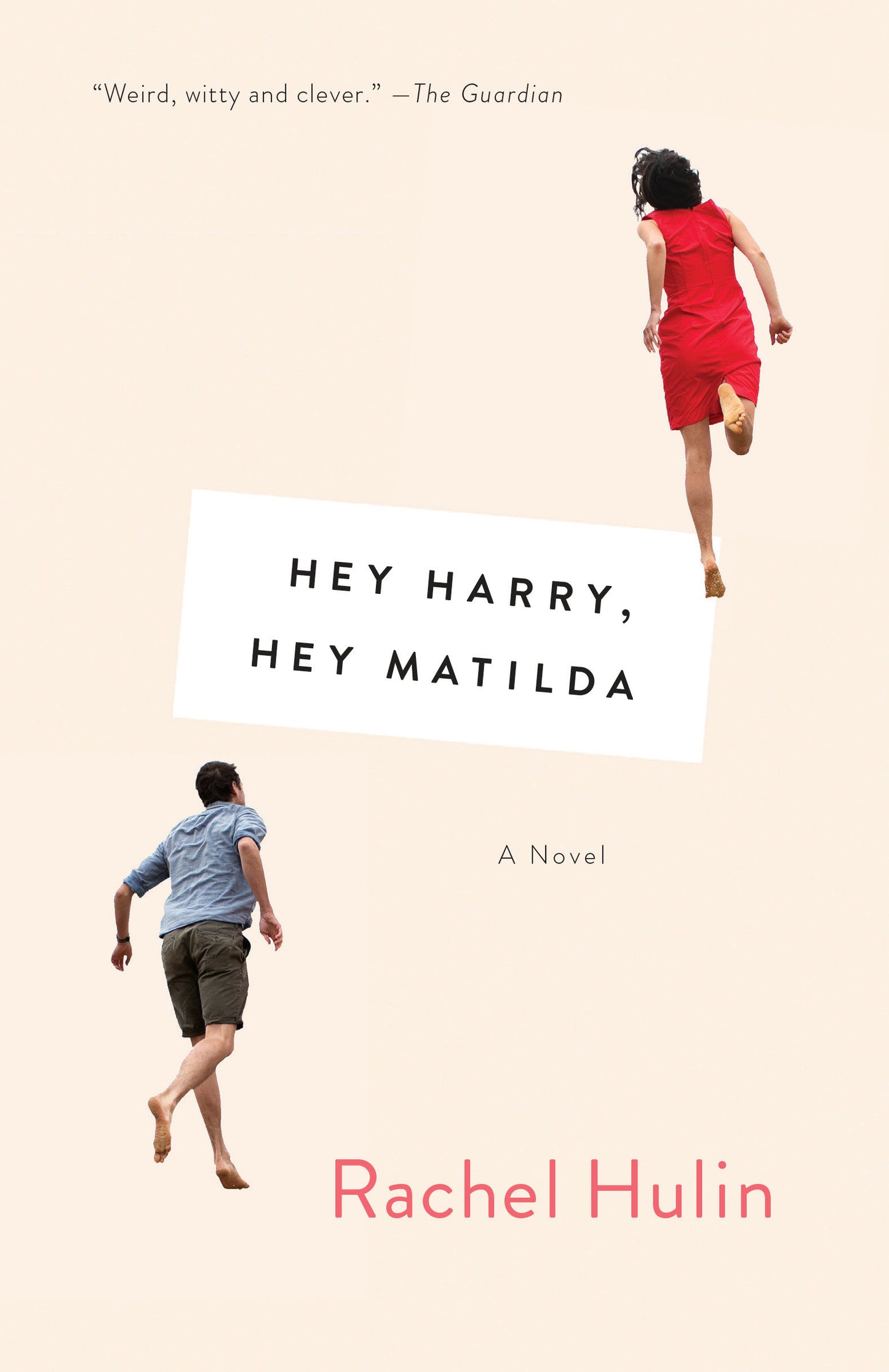Hey Harry, Hey Matilda - A Novel