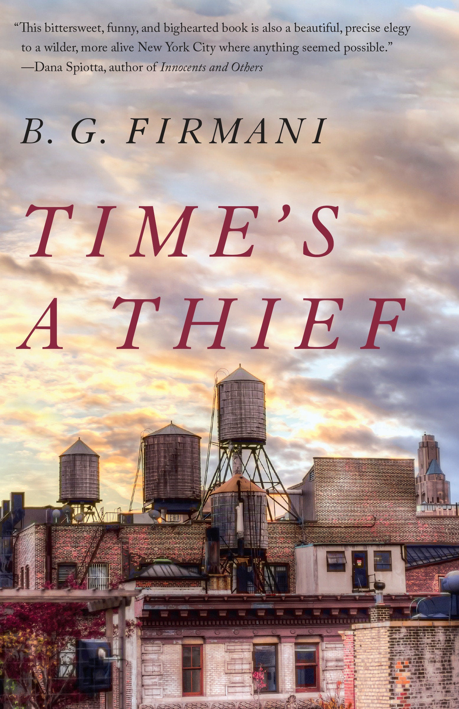 Time's a Thief - A Novel