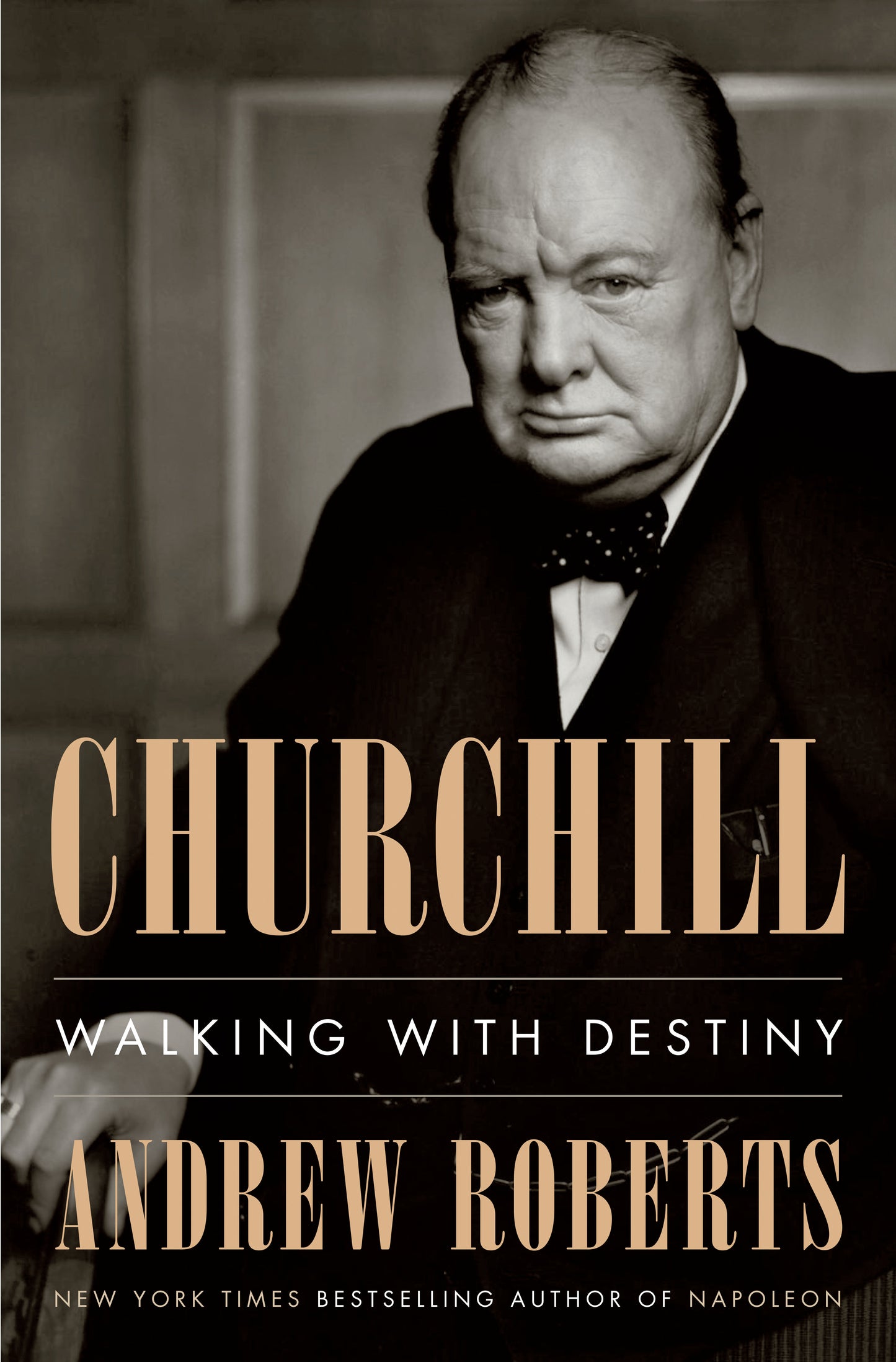 Churchill - Walking with Destiny