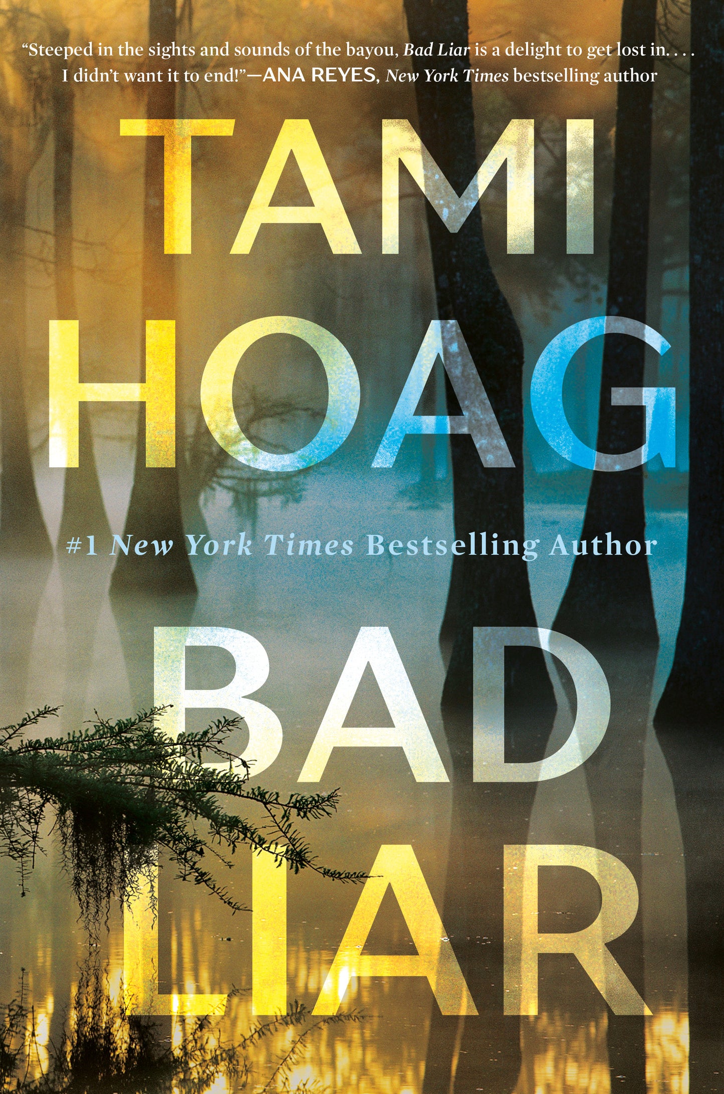 Bad Liar - A Novel