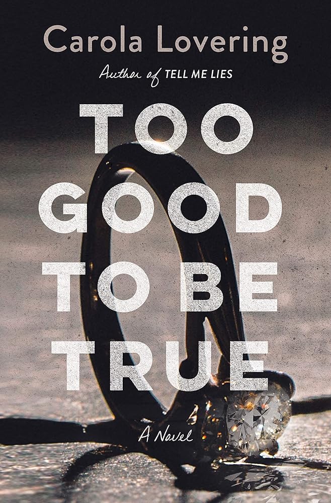 Too Good to Be True: A Novel by Carola Lovering