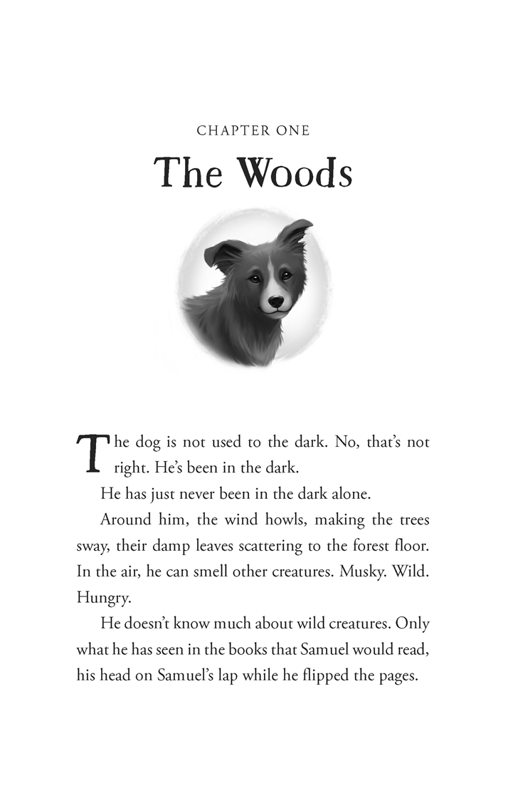 The Unlikely Tale of Chase and Finnegan by Jasmine Warga (SIGNED)