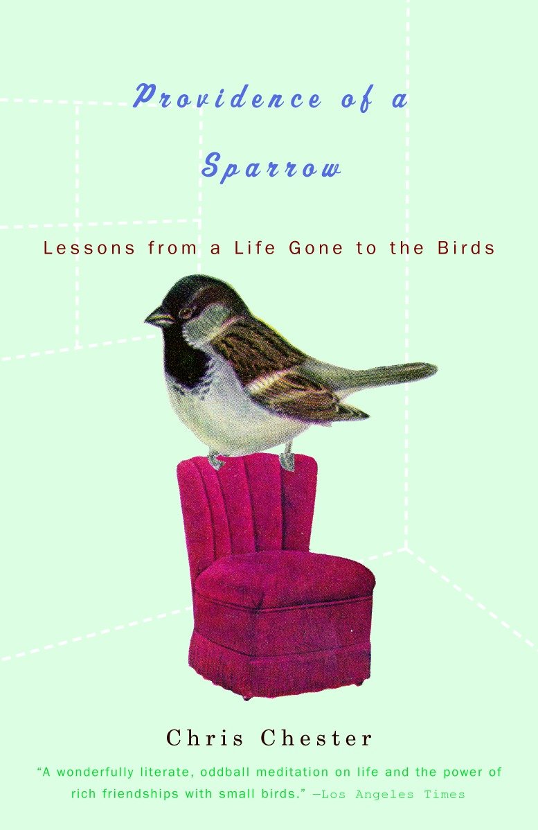 Providence of a Sparrow - Lessons from a Life Gone to the Birds