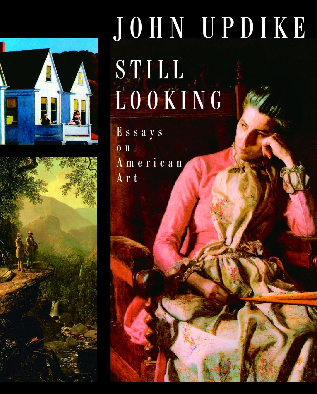 Still Looking - Essays on American Art