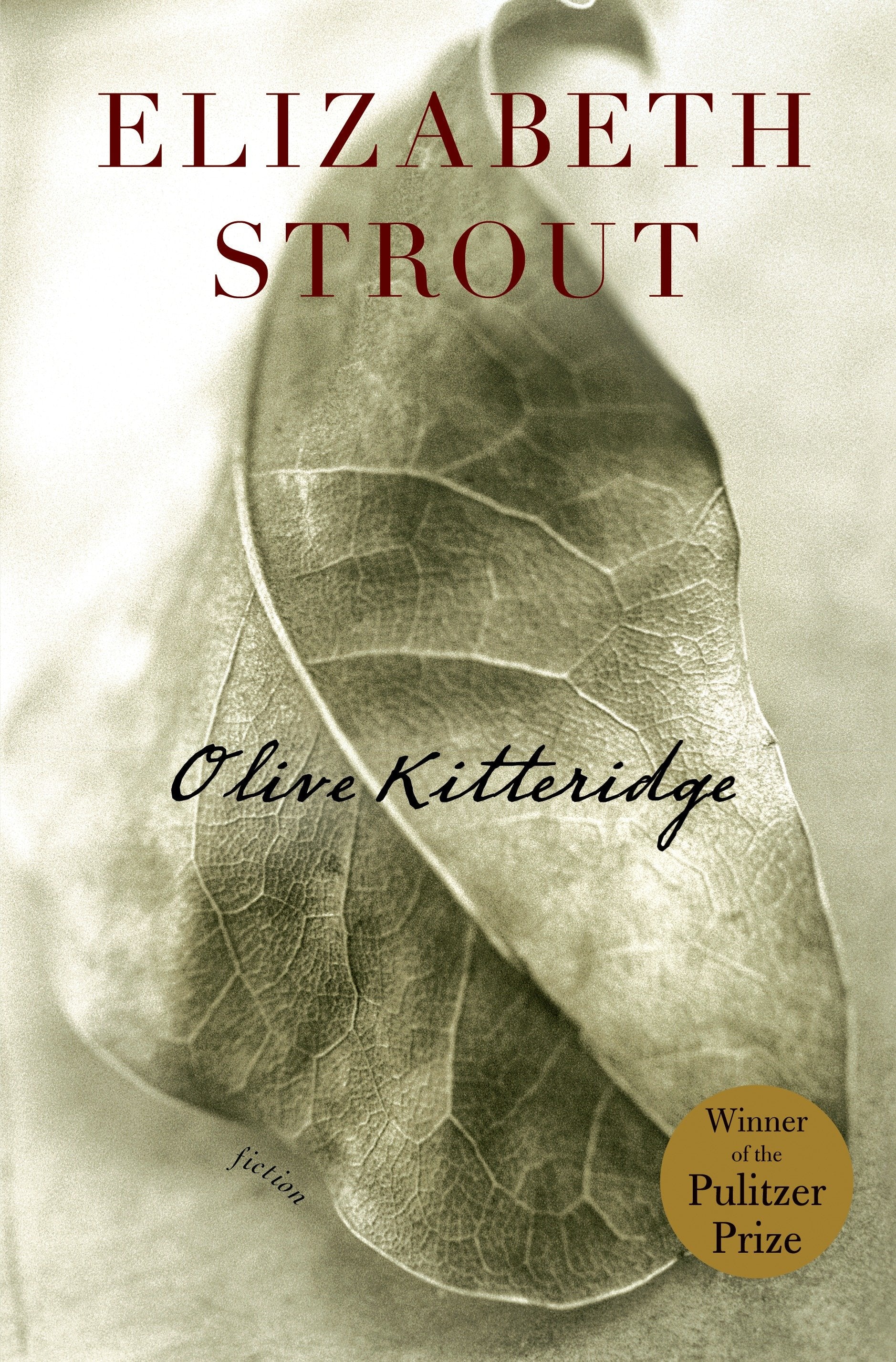 Olive Kitteridge - Fiction