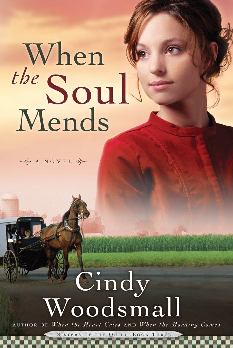 When the Soul Mends - Book 3 in the Sisters of the Quilt Amish Series (Sisters of the Quilt) (Book:3)