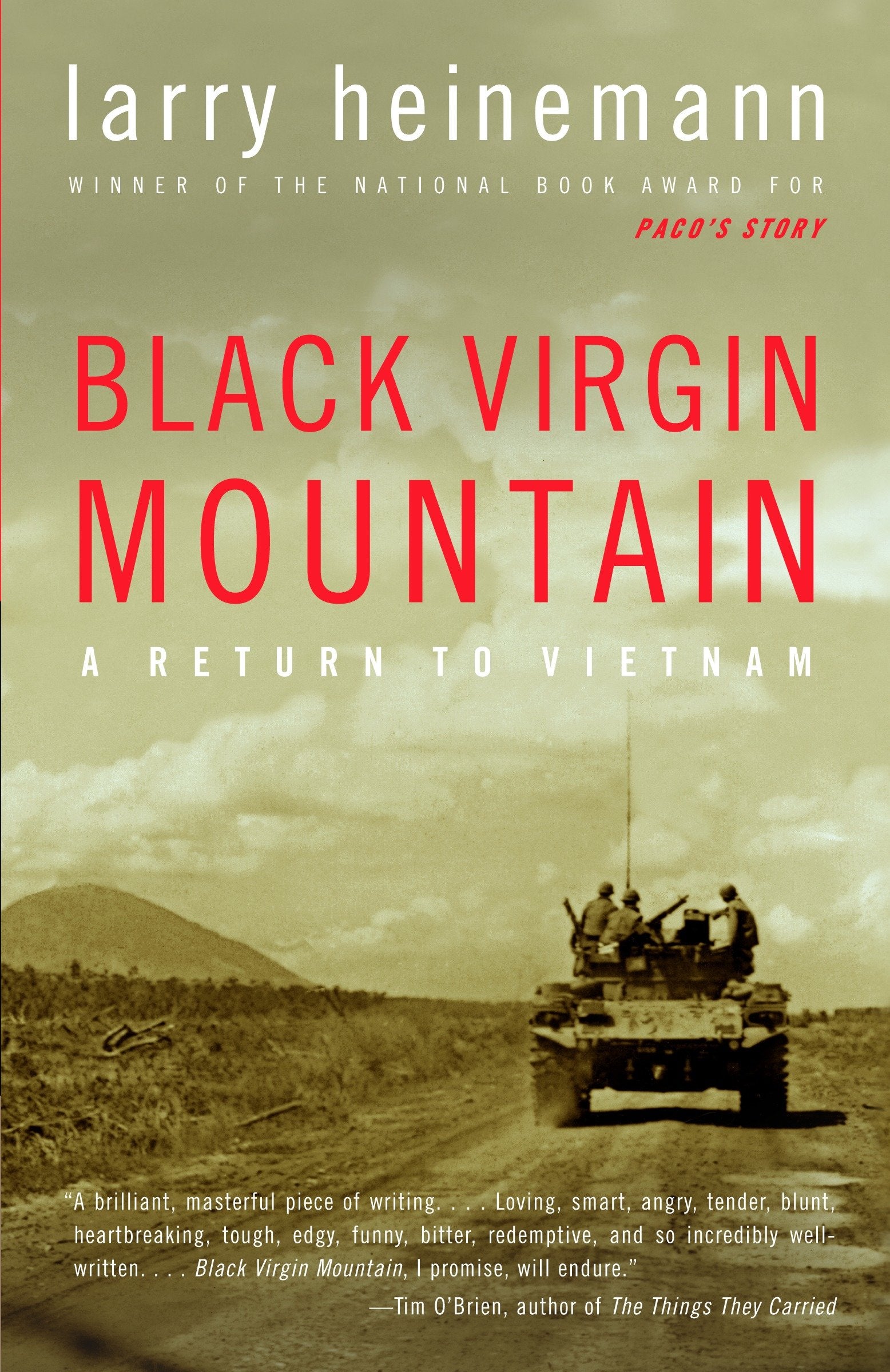 Black Virgin Mountain - A Return to Vietnam