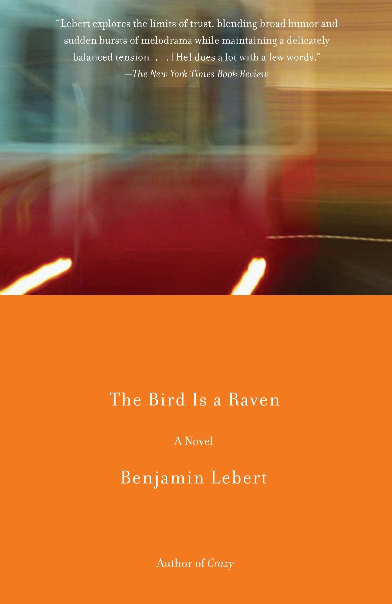 The Bird Is a Raven (Vintage Contemporaries)