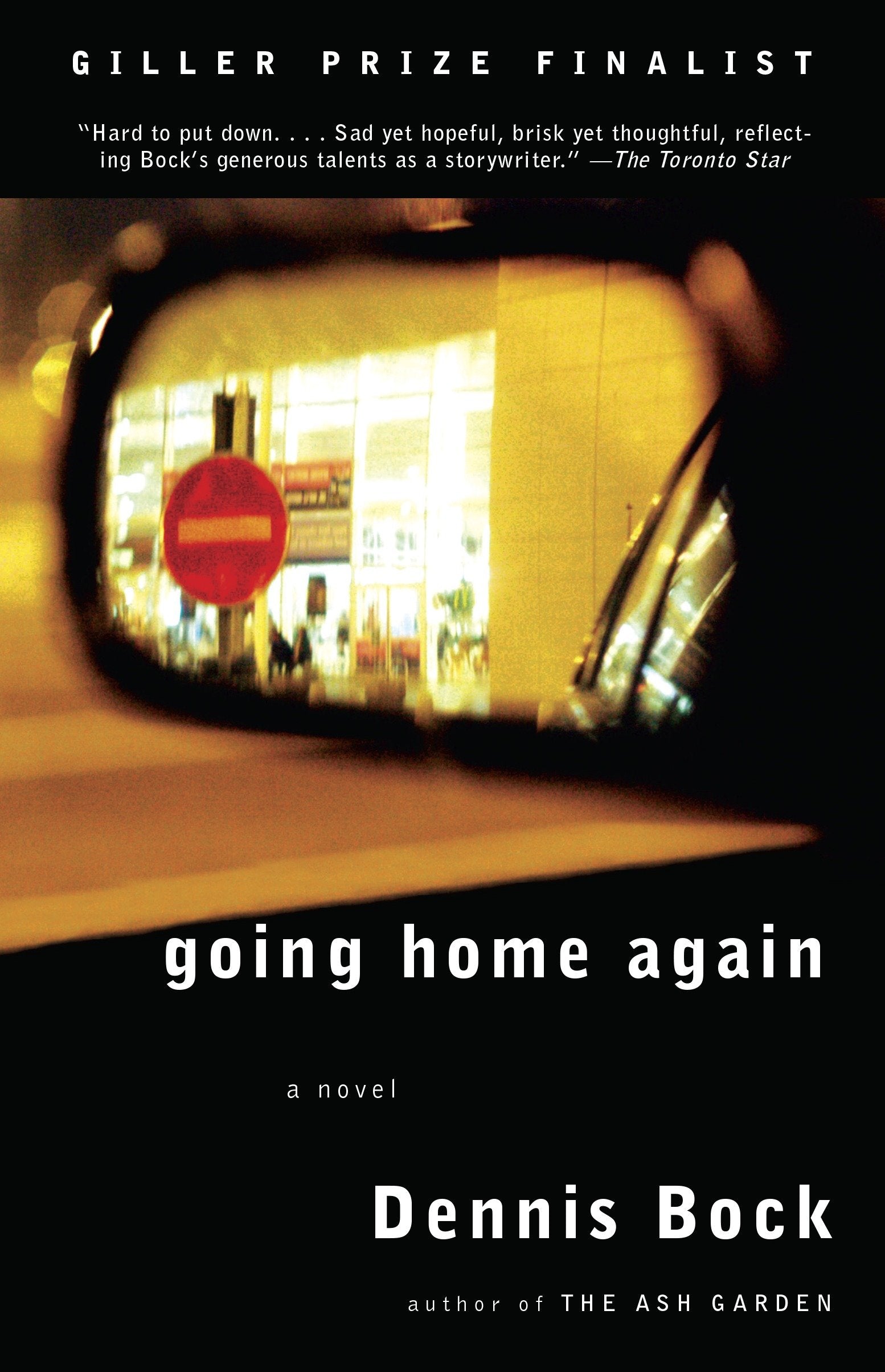 Going Home Again (Vintage International)