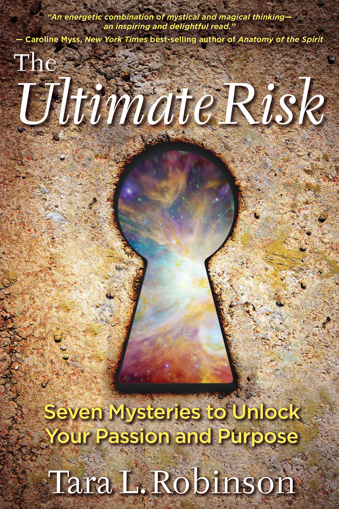 The Ultimate Risk - Seven Mysteries to Unlock Your Passion and Purpose