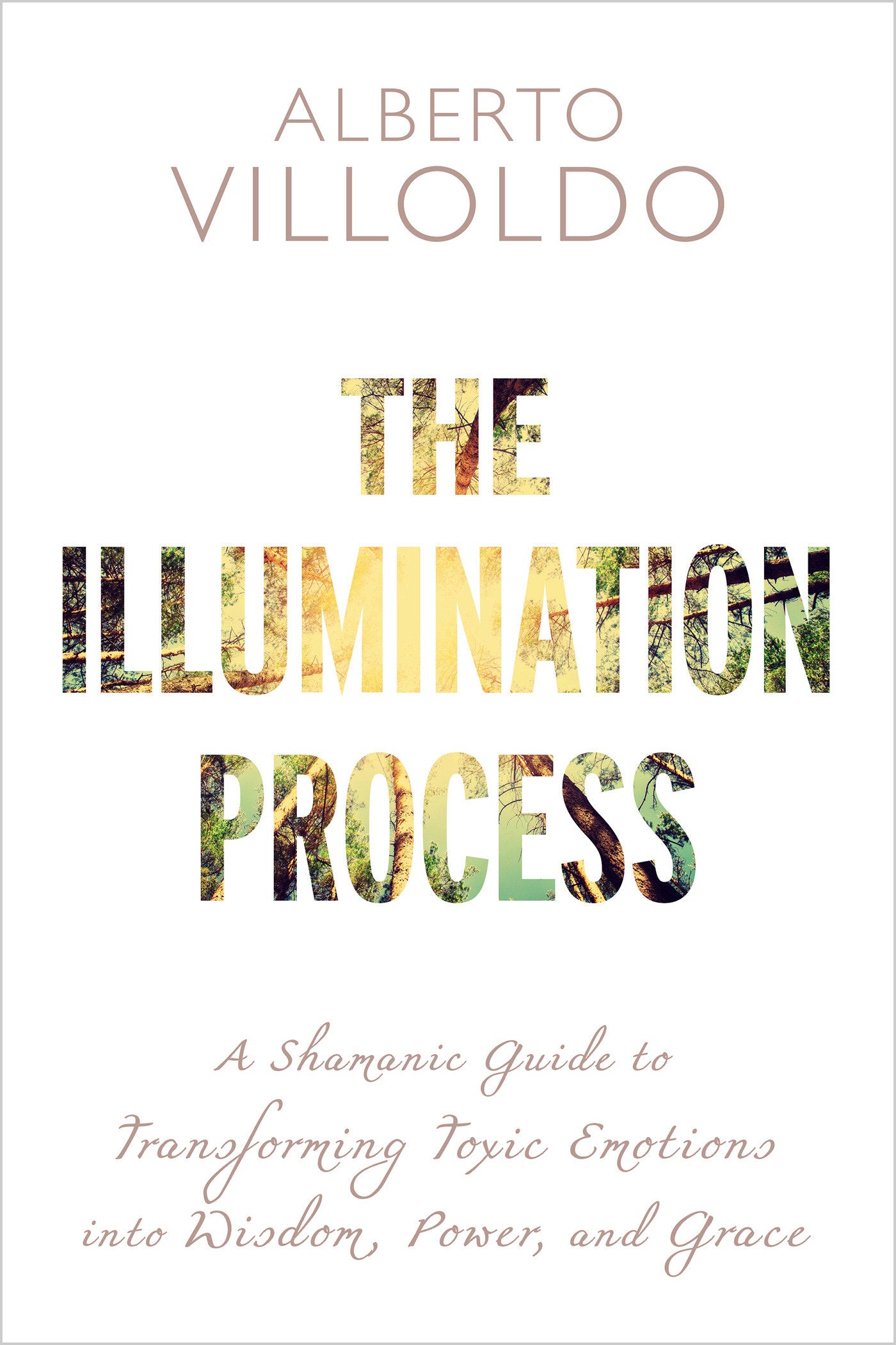 The Illumination Process - A Shamanic Guide to Transforming Toxic Emotions into Wisdom, Power, and Grace