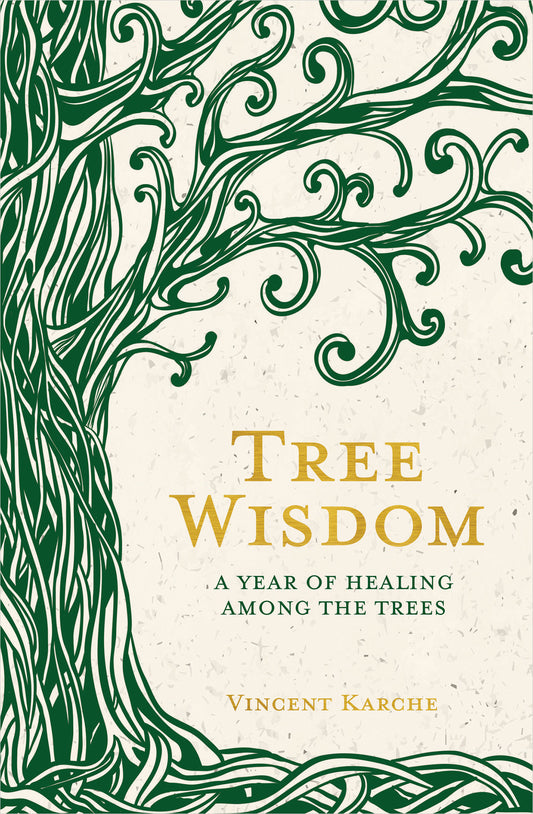 Tree Wisdom - A Year of Healing Among the Trees