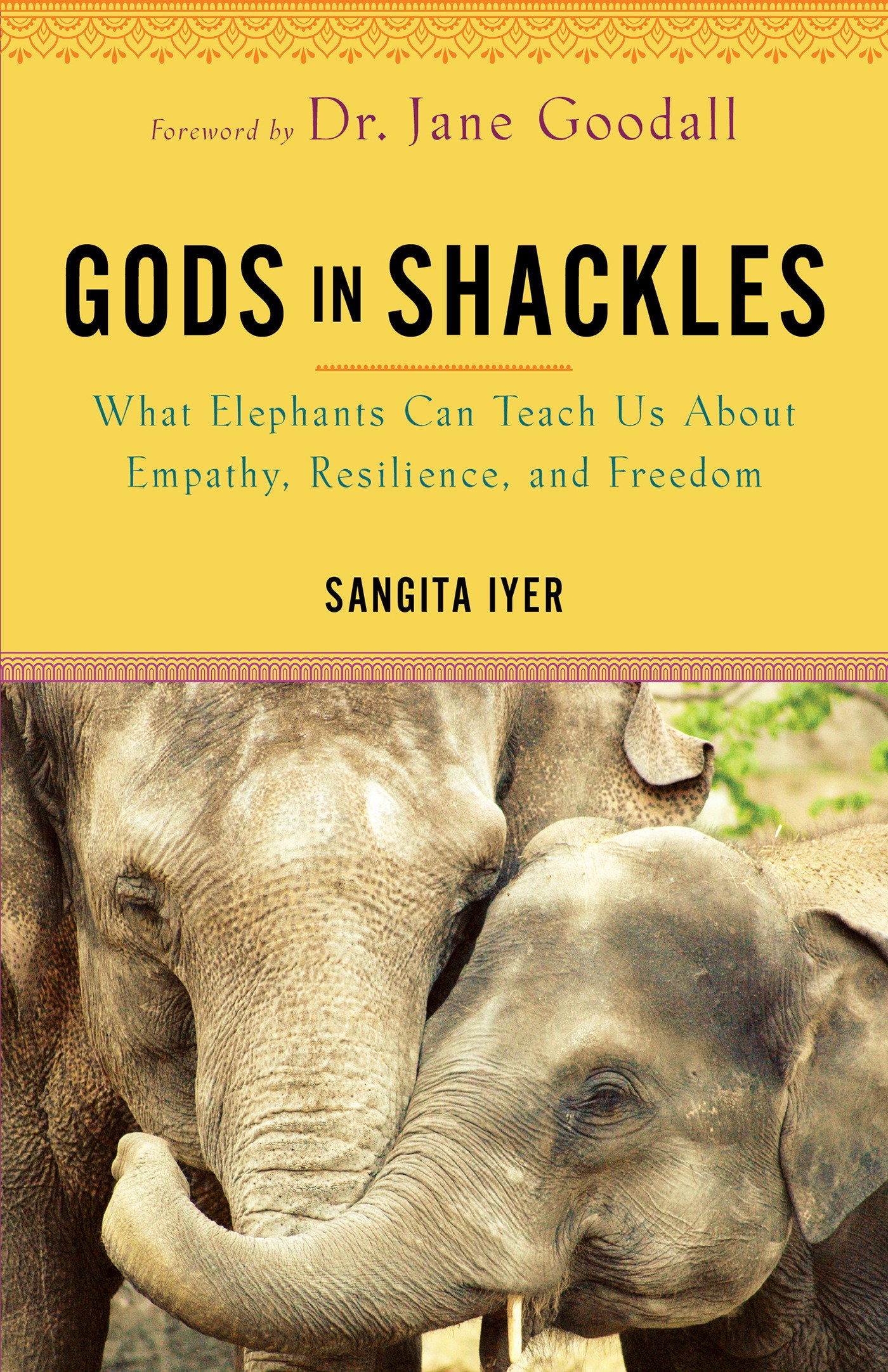 Gods in Shackles - What Elephants Can Teach Us About Empathy, Resilience, and Freedom