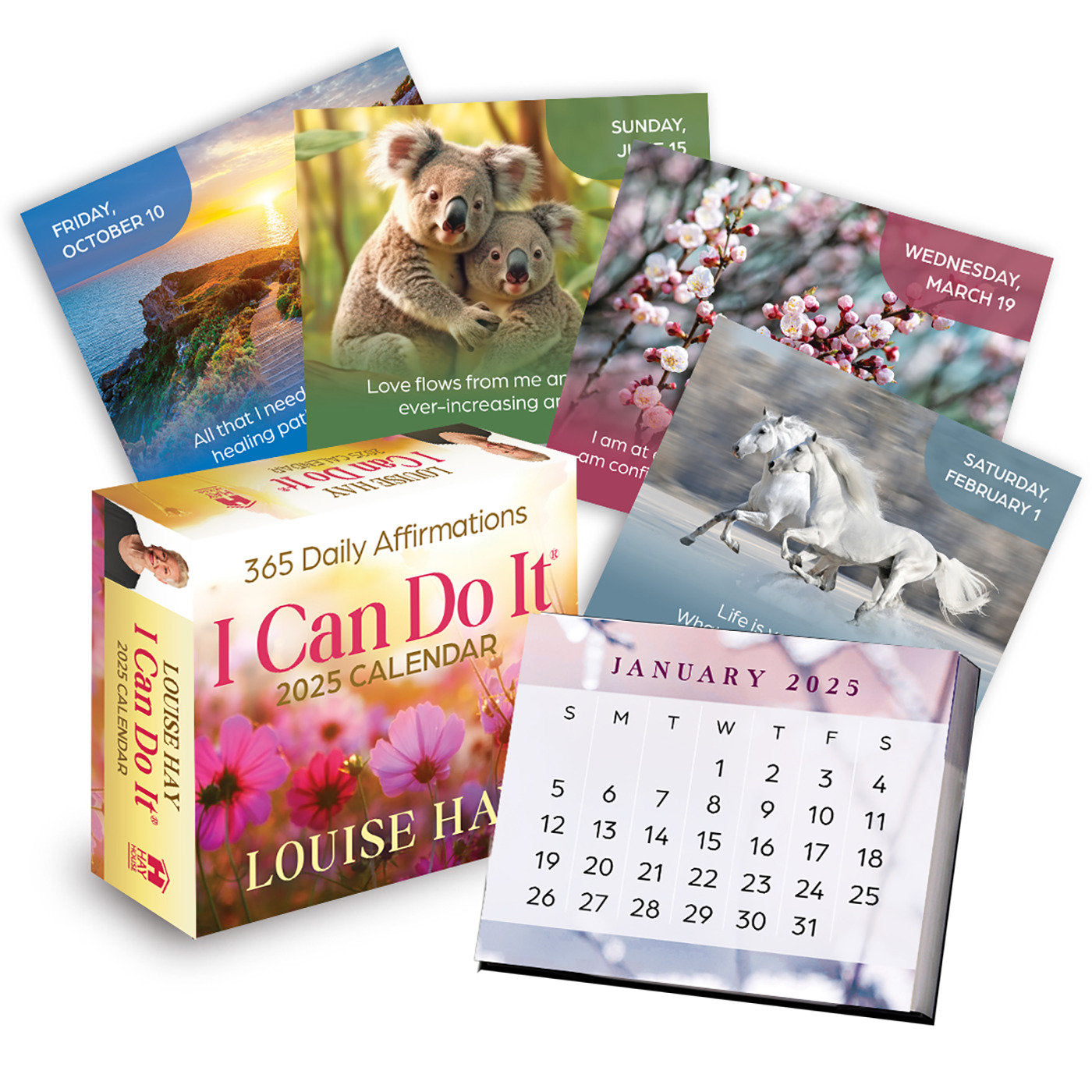 I Can Do It� 2025 Calendar - 365 Daily Affirmations