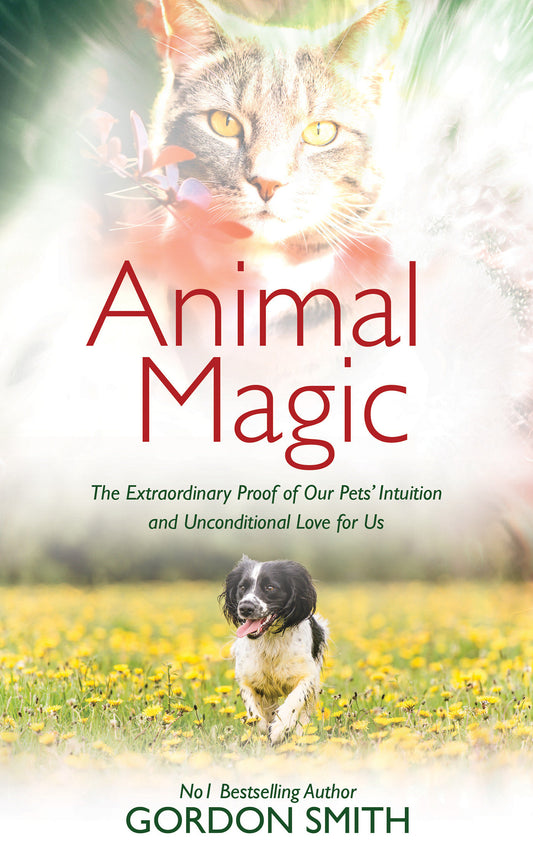 Animal Magic - The Extraordinary Proof of Our Pets� Intuition and Unconditional Love for Us