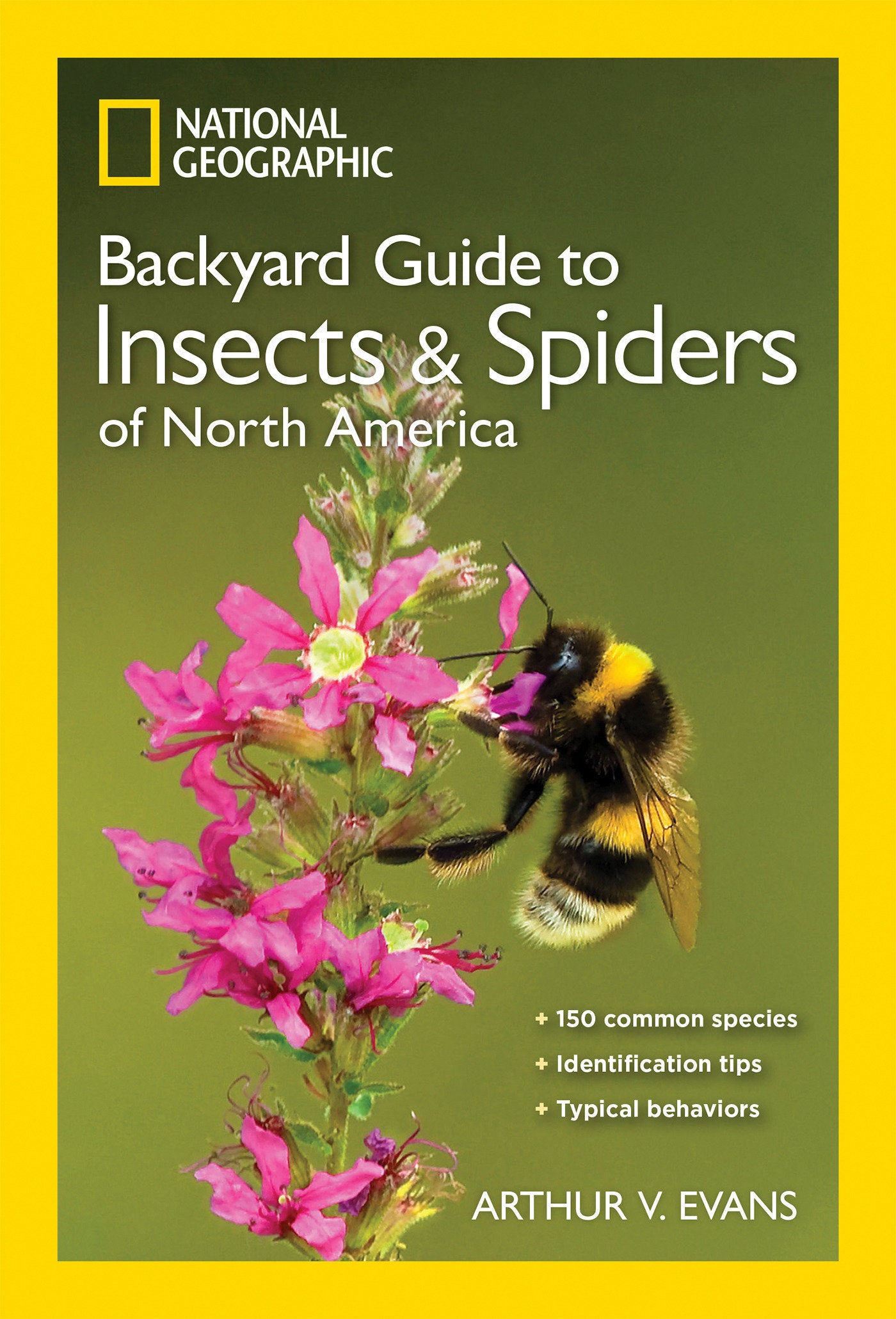 National Geographic Backyard Guide to Insects and Spiders of North America (National Geographic Backyard Guides)