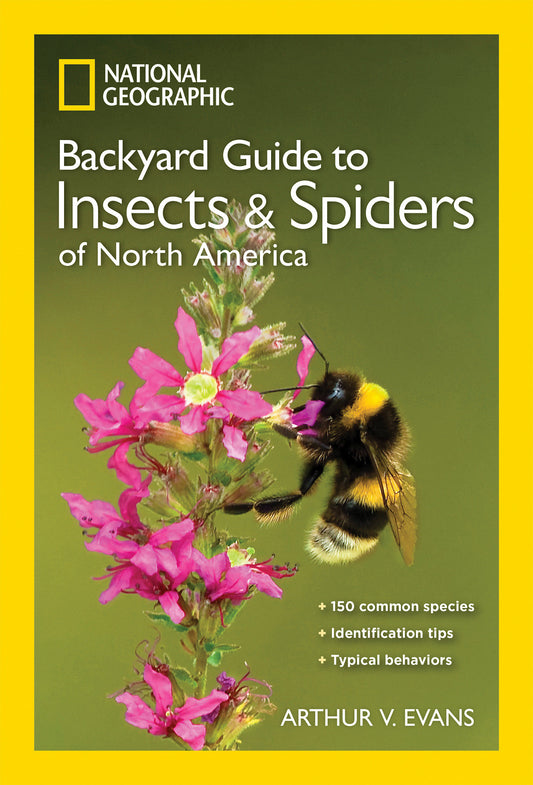 National Geographic Backyard Guide to Insects and Spiders of North America (National Geographic Backyard Guides)